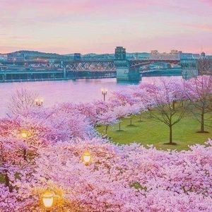 Meet your Posher, Chak